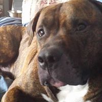 Jennifer Gauthier Photo 13