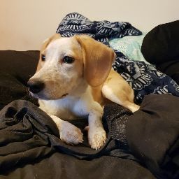 Larry Summers Photo 40 Larry Summers Photo 40