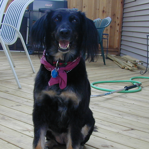 Lorraine Robbins Photo 6