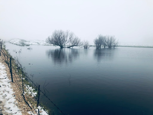 Sharon Jacobson Photo 14