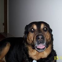 Catherine Wiley Photo 27 Catherine Wiley Photo 27