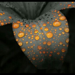 Melanie Ziegler Photo 7