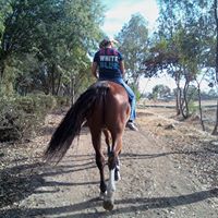 Renee Pierson Photo 6