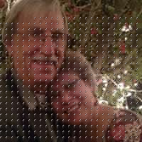 Terry Sorensen Photo 35