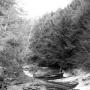 Bill Lester Photo 41