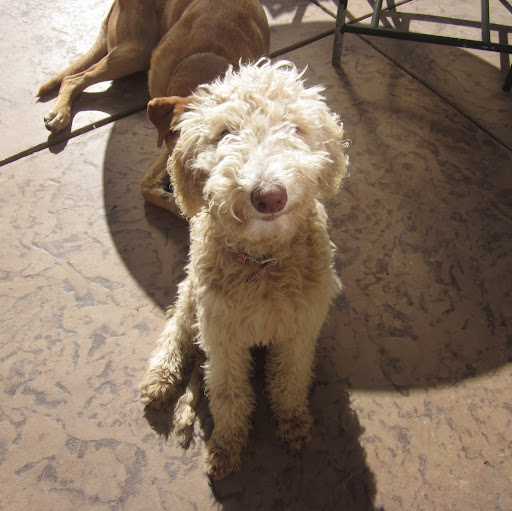 John Coates Photo 47 John Coates Photo 47