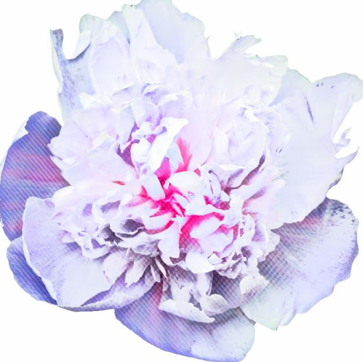 Laura Currie Photo 35