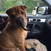 Matthew Dean Photo 25