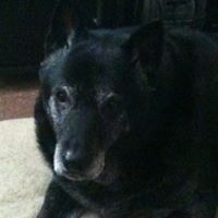 Chad Brower Photo 12