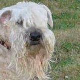 Jacklyn Swanson Photo 1