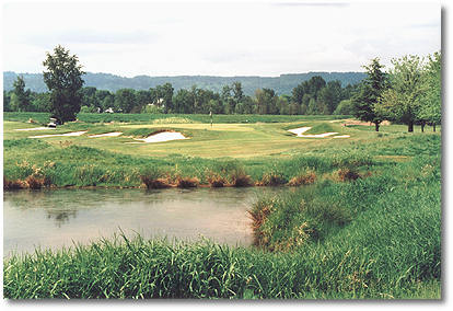 Ron Gross Photo 32