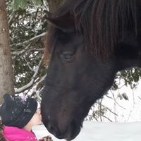 Mitch Brewer Photo 6