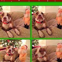 Wade Howell Photo 21