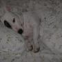 Cathy Galvan Photo 13