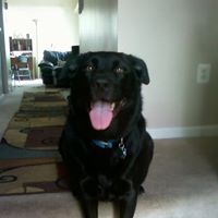 Christine Amaya Photo 4