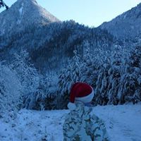 Crystal Willett Photo 8