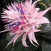 Kathy Hardy Photo 19