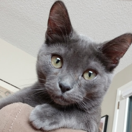 Anne Buckley Photo 12