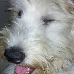 Janis Sutherland Photo 11