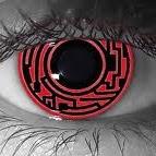 Kevin Snyder Photo 53