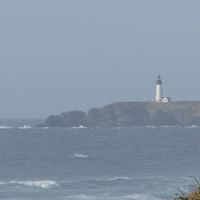 Shelly Wilson Photo 5