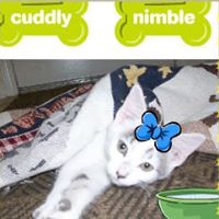 Alice Gould Photo 14