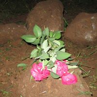 Jack Morton Photo 42 Jack Morton Photo 42