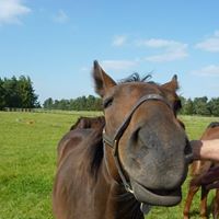 Christina Matthews Photo 18 Christina Matthews Photo 18