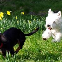 Julie Warrender Photo 9