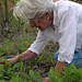 Anne Berry Photo 14