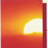 Nancy Kellogg Photo 24