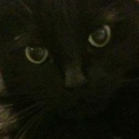 Sara Jennings Photo 14