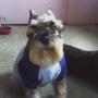Joyce Stover Photo 14