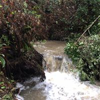 David Addington Photo 33 David Addington Photo 33