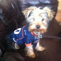 Robin Porter Photo 1