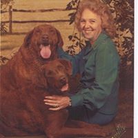 Arlene Brady Photo 7