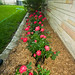 Gary Rose Photo 52