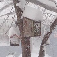 Lisa Biggs Photo 32