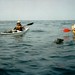 Rob Seal Photo 24