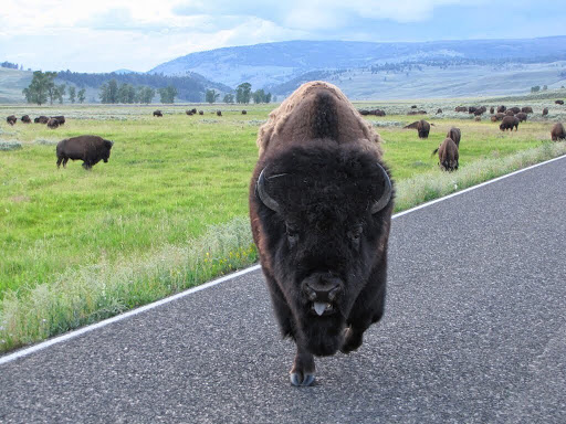 Philip Odom Photo 15