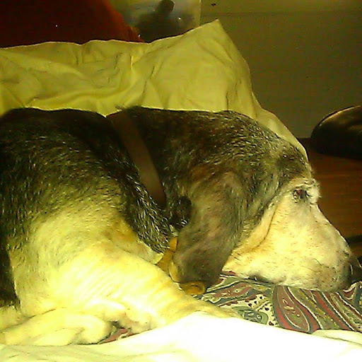 Steve Moody Photo 19