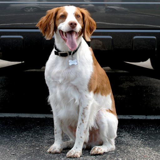 Laura Watling Photo 16