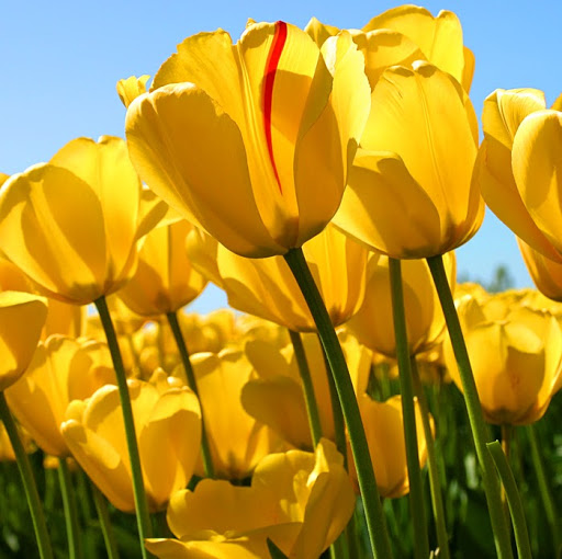 Brooke Taylor Photo 41