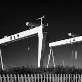 Mark Tweedie Photo 18