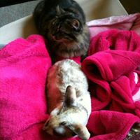 Joey Graves Photo 18