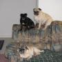 Sandra Gibbs Photo 39