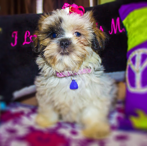 Marie Robles Photo 13