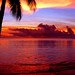 Jason Lucia Photo 24