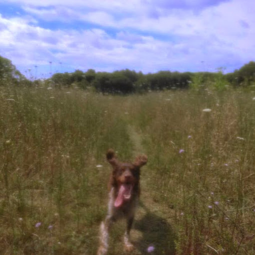 Travis Fitzpatrick Photo 12