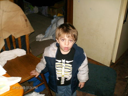 Donna Harding Photo 23